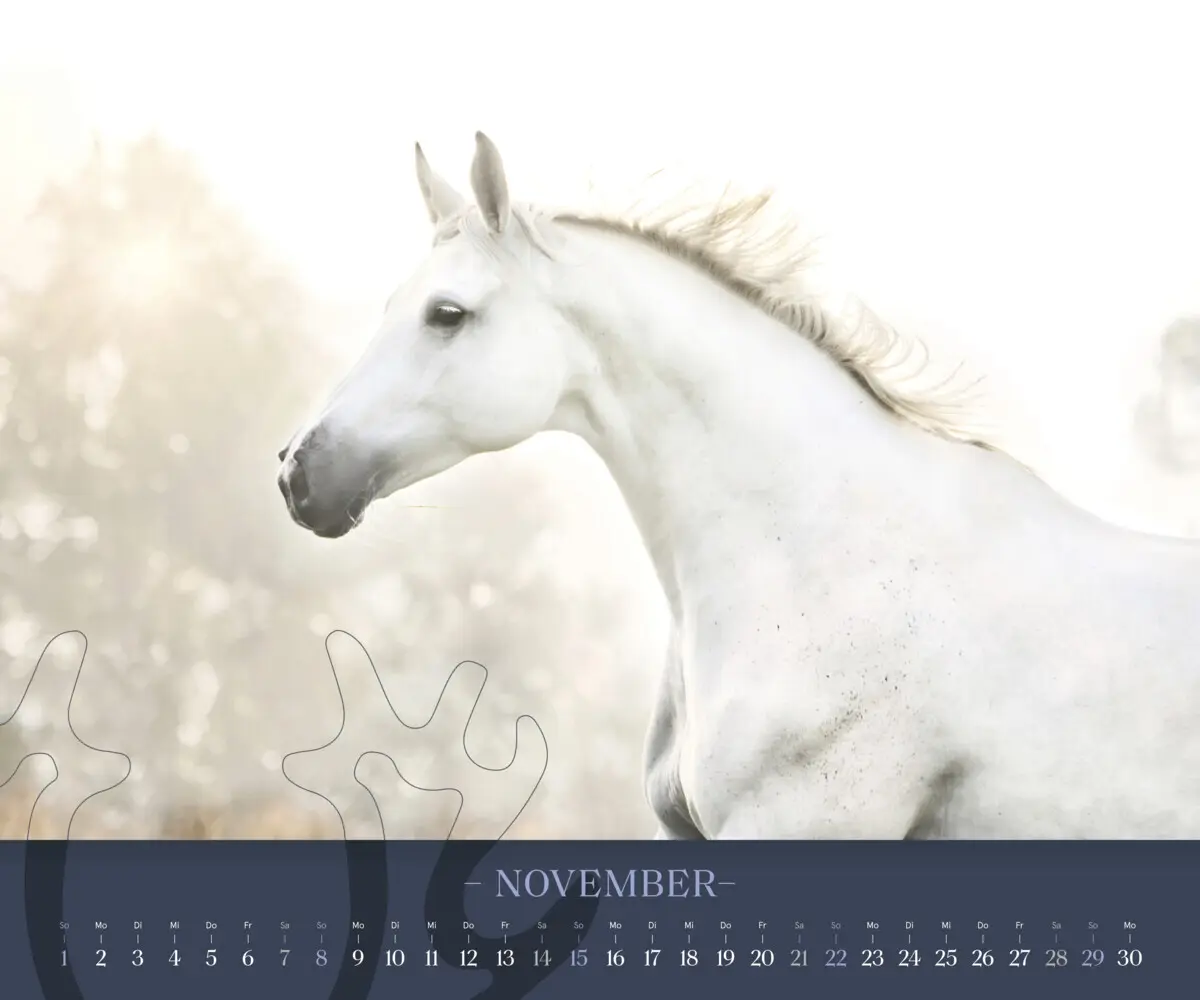 Bild: 9783710902000 | Trakehner 2026 | Eine lebende Legende | Kalender | Spiralbindung