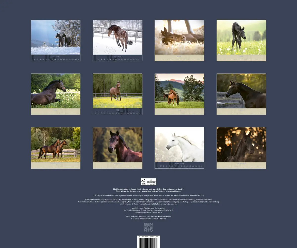 Bild: 9783710902000 | Trakehner 2026 | Eine lebende Legende | Kalender | Spiralbindung