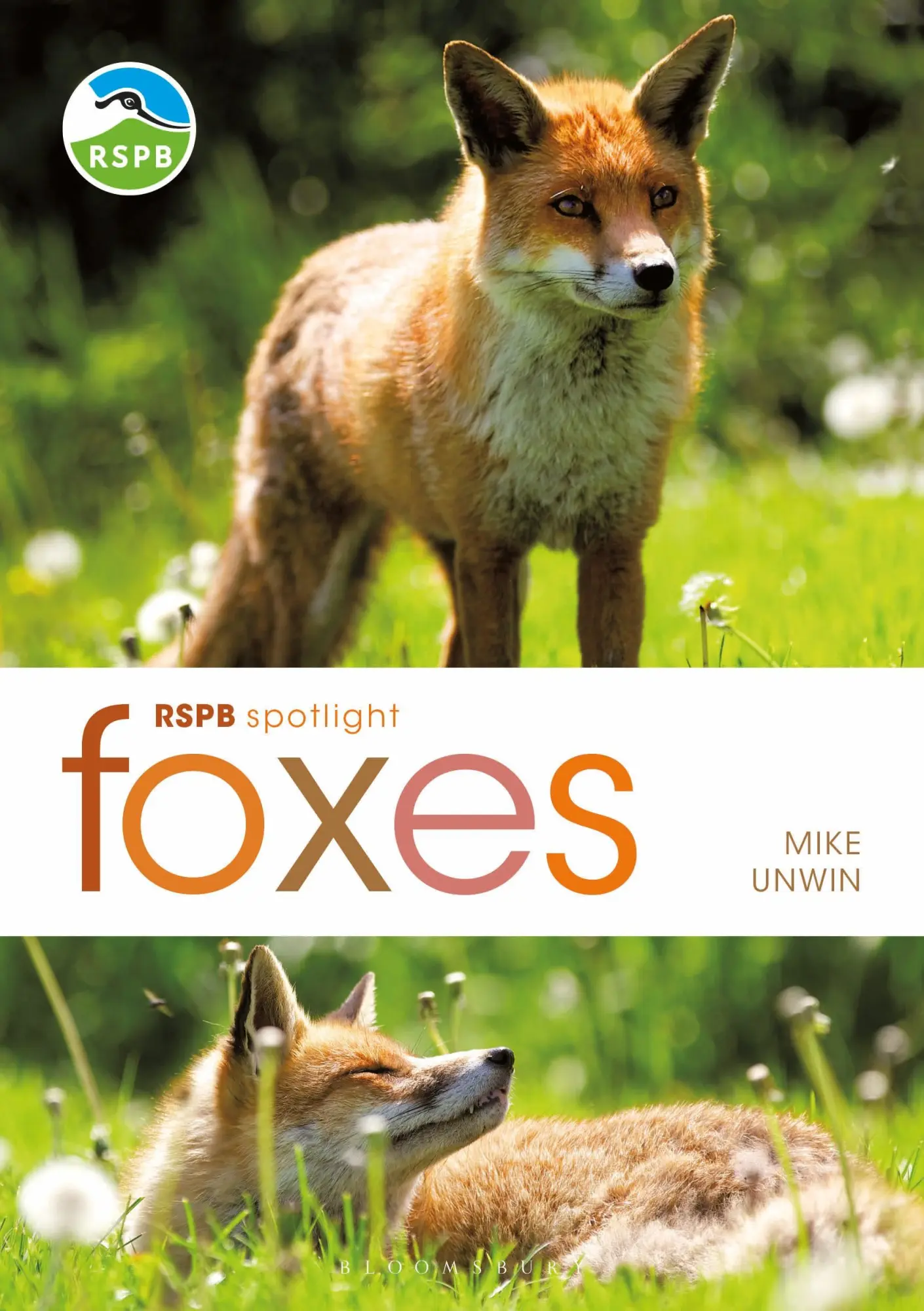 Cover: 9781472982100 | Rspb Spotlight: Foxes | Mike Unwin | Taschenbuch | Englisch | 2020