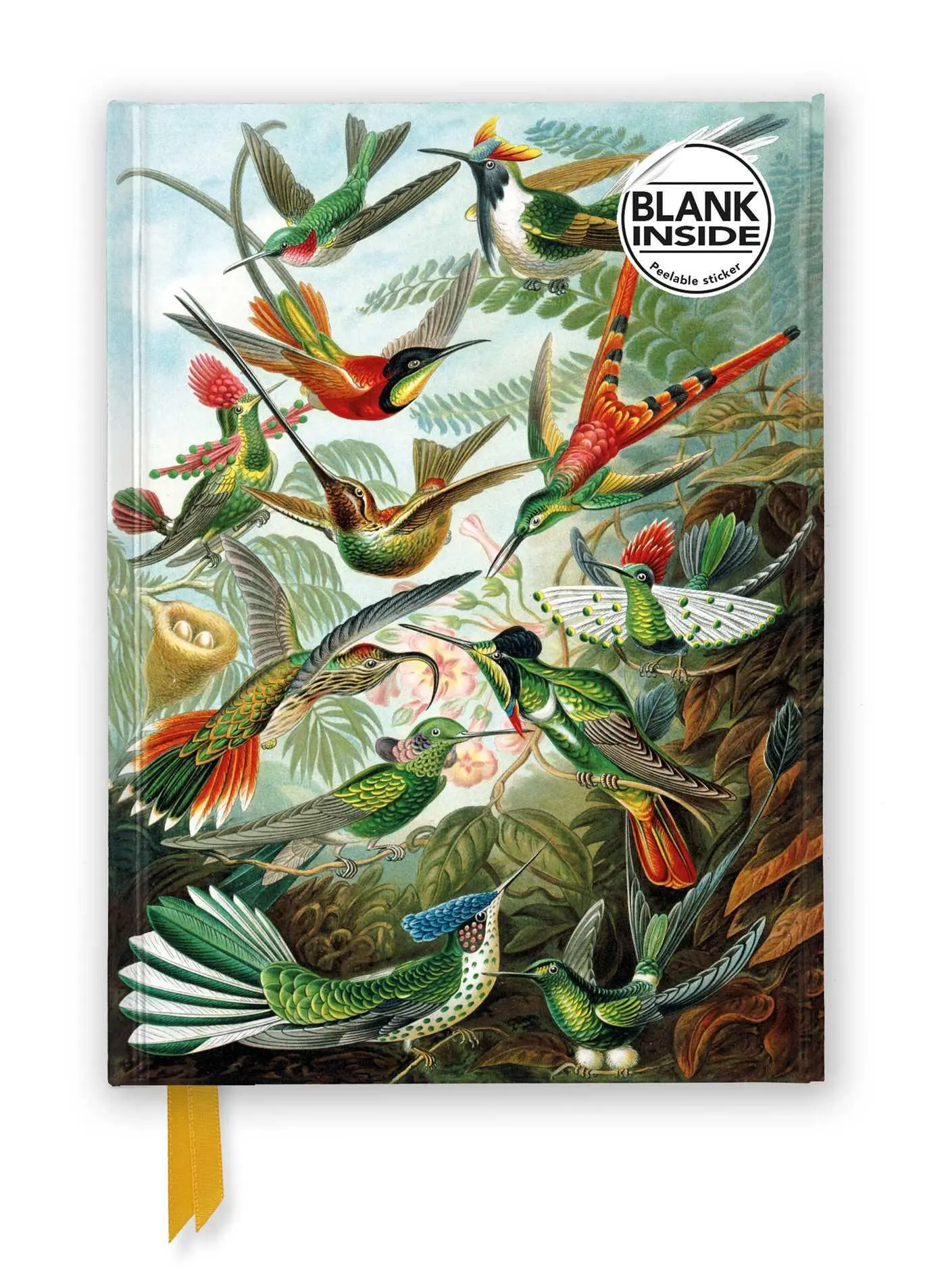 Flame Tree Publishing Ernst Haeckel, Hummingbirds (Foiled Blank Journal)