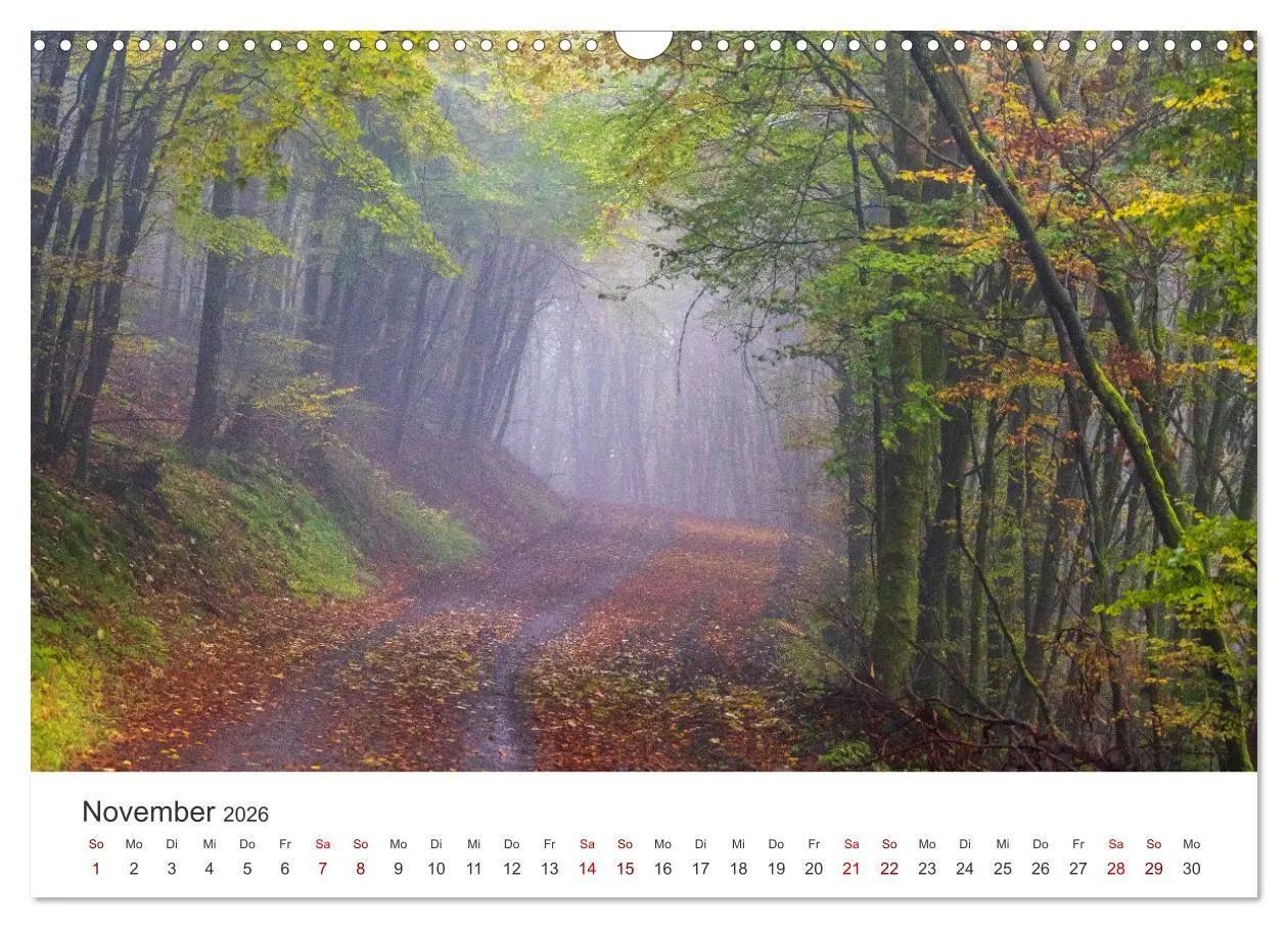 Bild: 9783457552100 | Das Sauerland im Wechsel der Jahreszeiten (Wandkalender 2026 DIN A3...