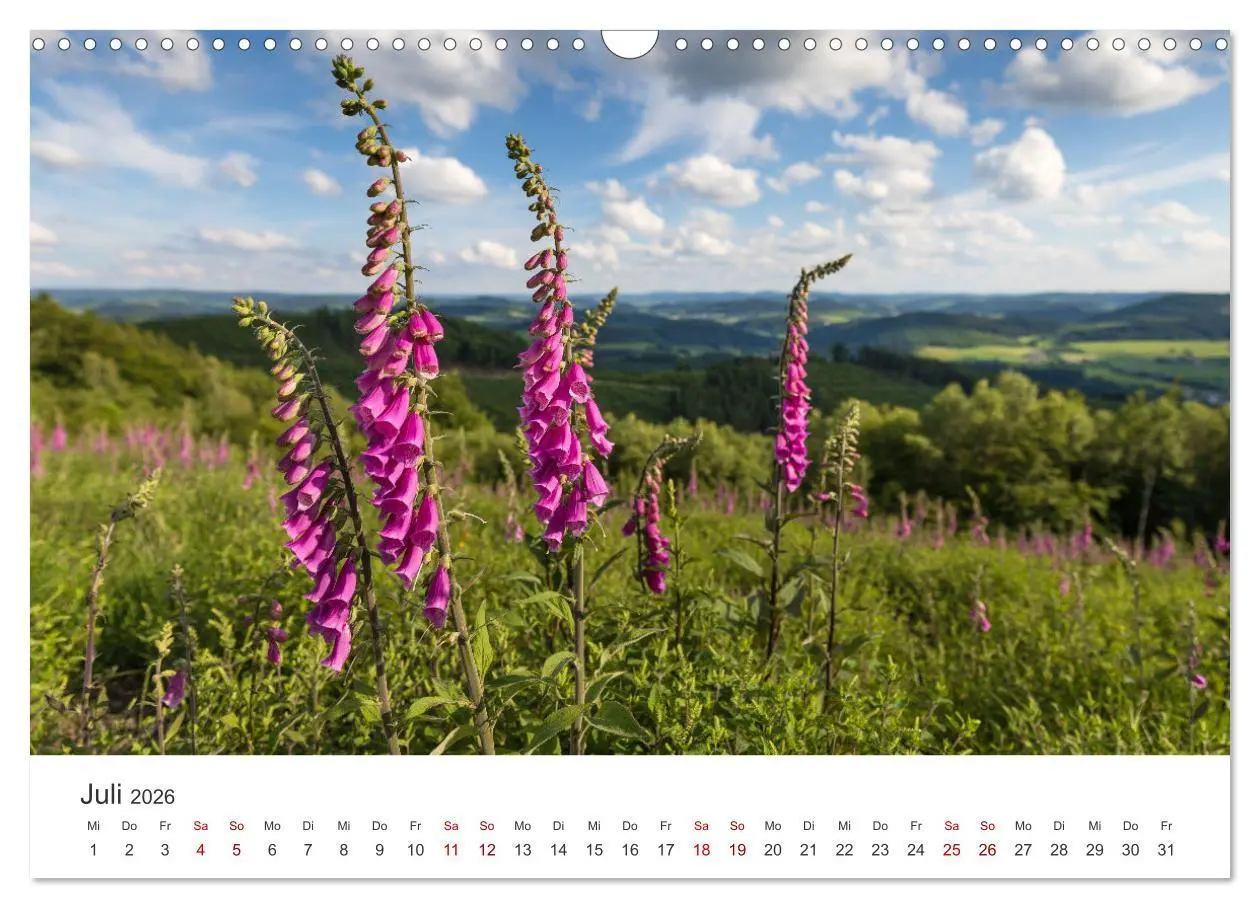 Bild: 9783457552100 | Das Sauerland im Wechsel der Jahreszeiten (Wandkalender 2026 DIN A3...