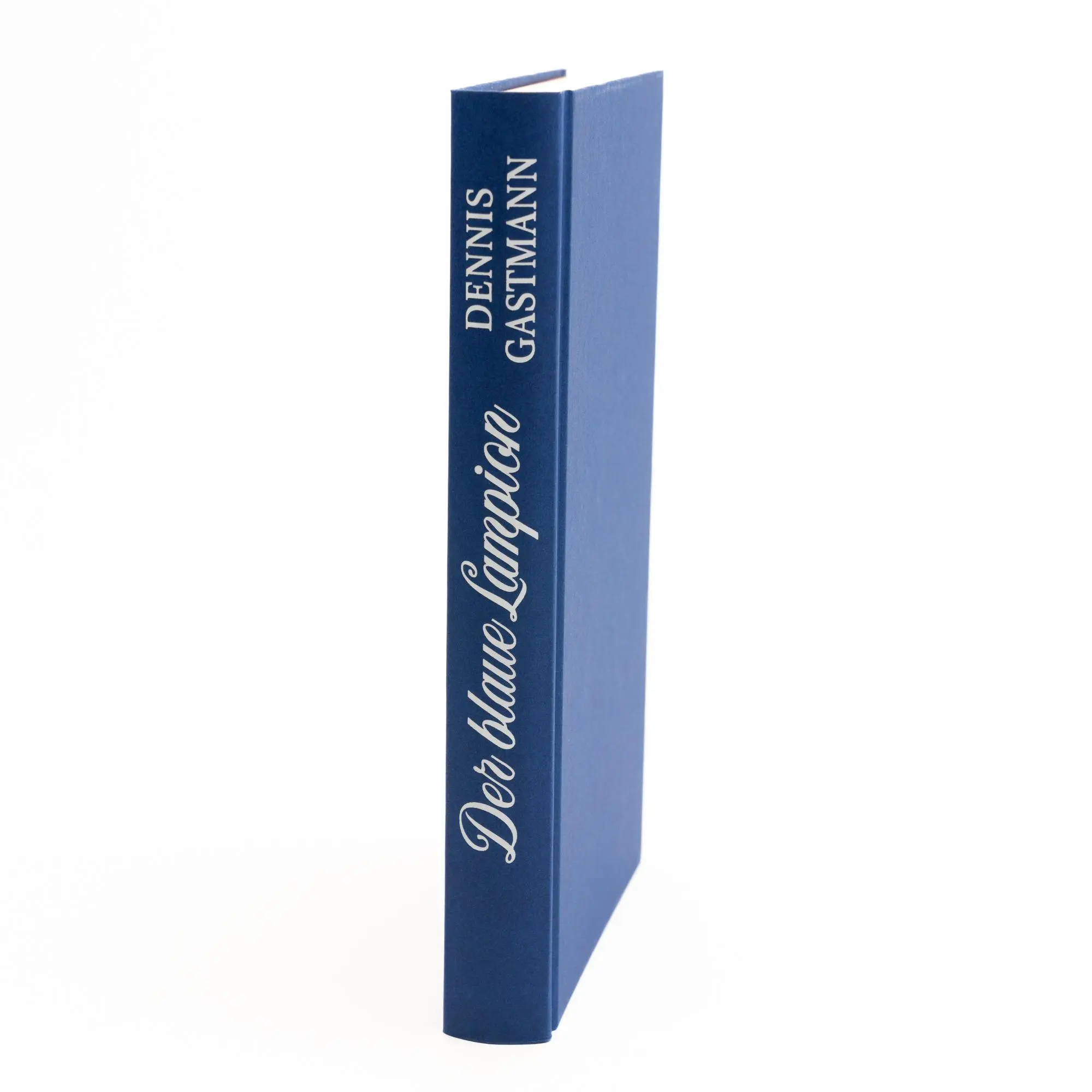 Bild: 9783737102100 | Der blaue Lampion | Dennis Gastmann | Buch | 272 S. | Deutsch | 2024