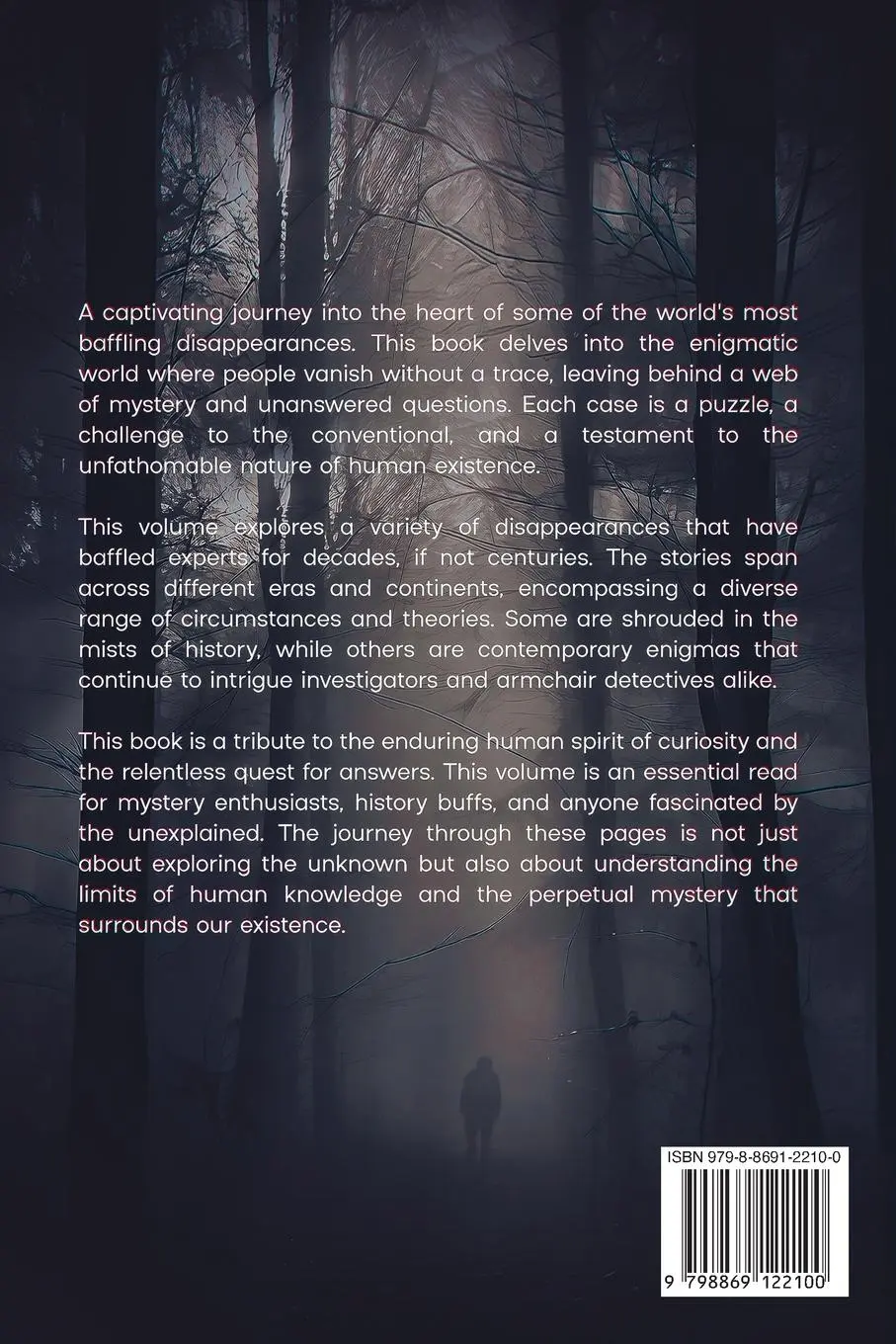 Rückseite: 9798869122100 | Incredible Mysteries Unsolved Disappearances Vol. 1 | Julian Hawthorne