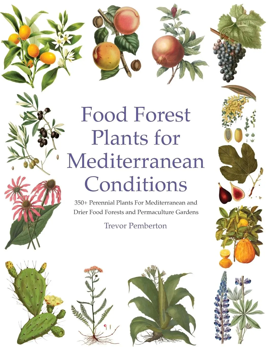 Cover: 9781068292200 | Food Forest Plants for Mediterranean Conditions | Trevor Pemberton