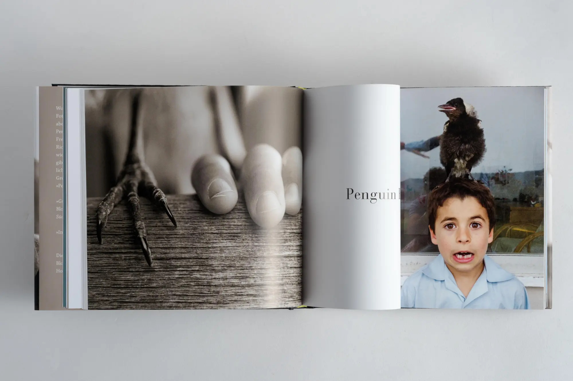 Bild: 9783328602200 | Penguin Bloom | Der kleine Vogel, der unsere Familie rettete | Buch