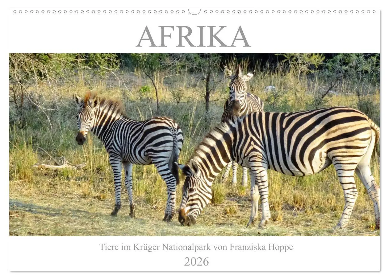 Cover: 9783457922200 | Afrika - Tiere im Krüger Nationalpark (Wandkalender 2026 DIN A2...