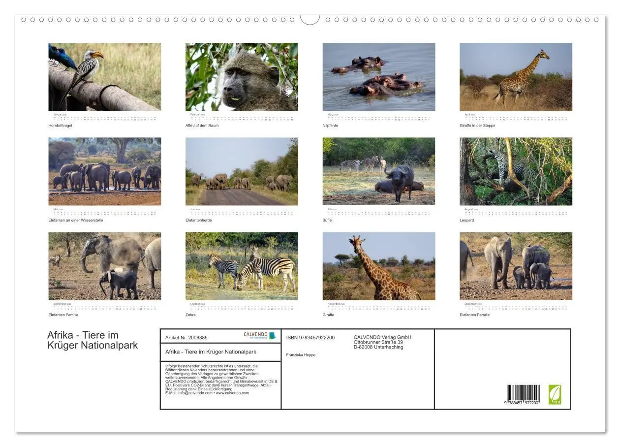Bild: 9783457922200 | Afrika - Tiere im Krüger Nationalpark (Wandkalender 2026 DIN A2...