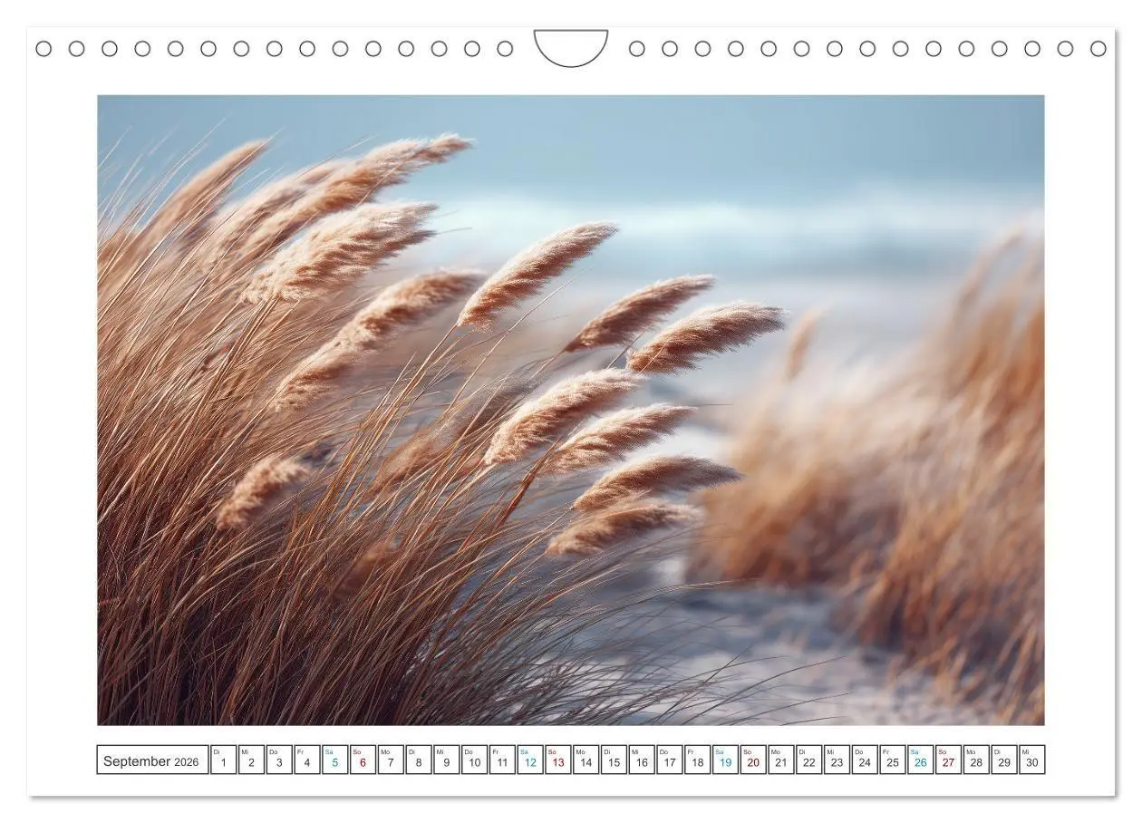 Bild: 9783516702200 | Magie der Jahreszeiten (Wandkalender 2026 DIN A4 quer), CALVENDO...