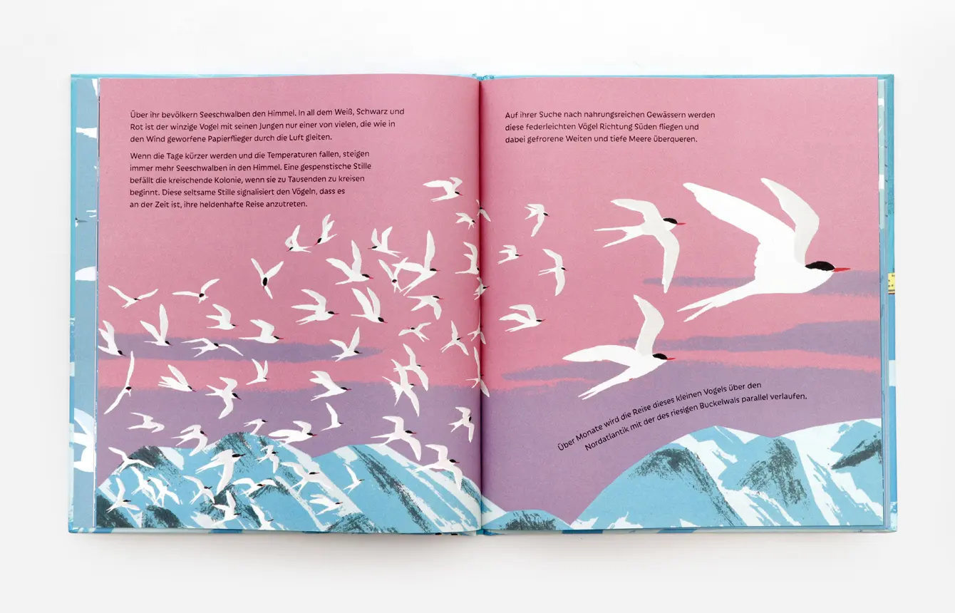 Bild: 9783962442200 | Die Seeschwalbe und der Buckelwal | Catherine Barr | Buch | 32 S.