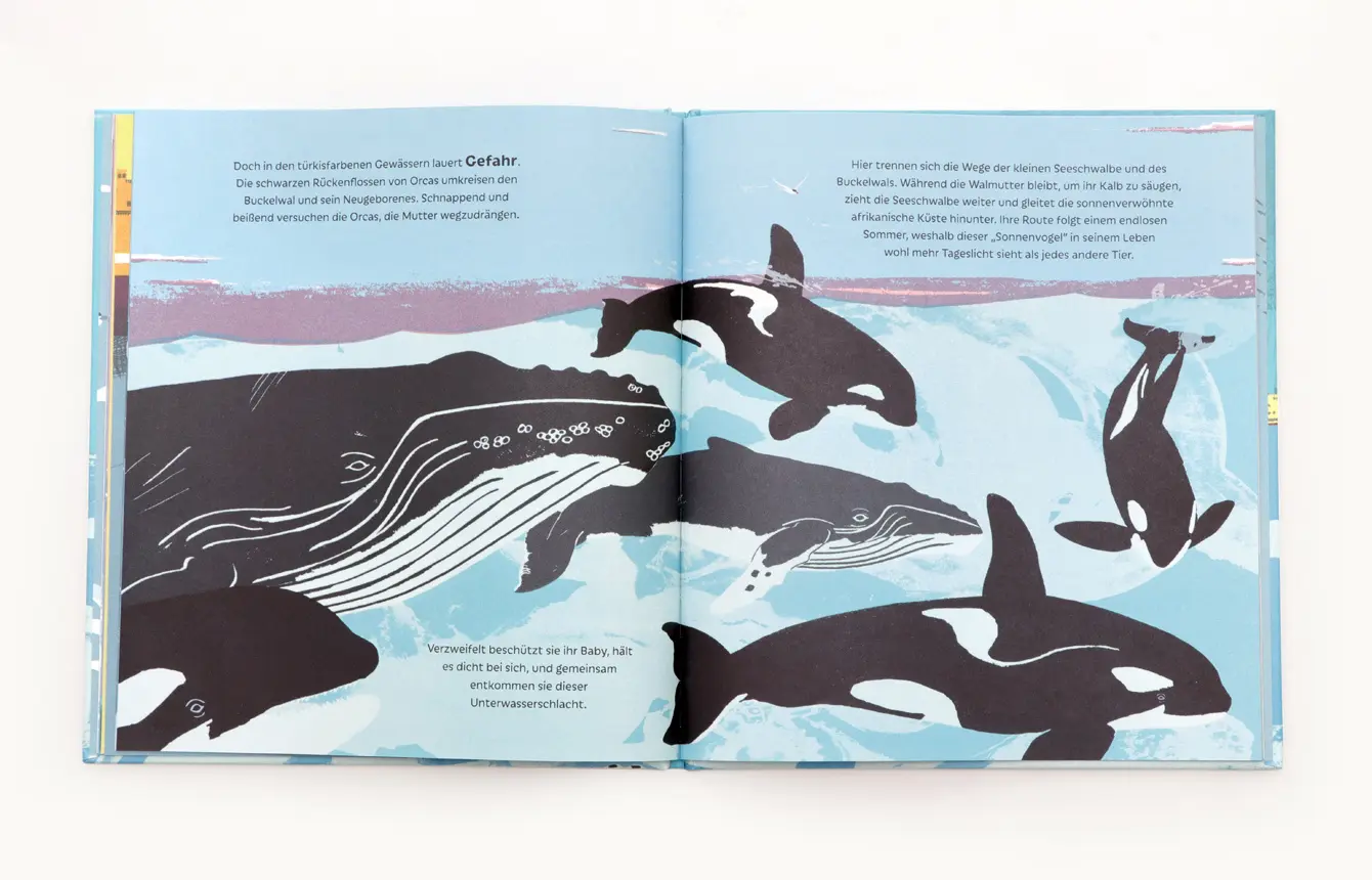 Bild: 9783962442200 | Die Seeschwalbe und der Buckelwal | Catherine Barr | Buch | 32 S.