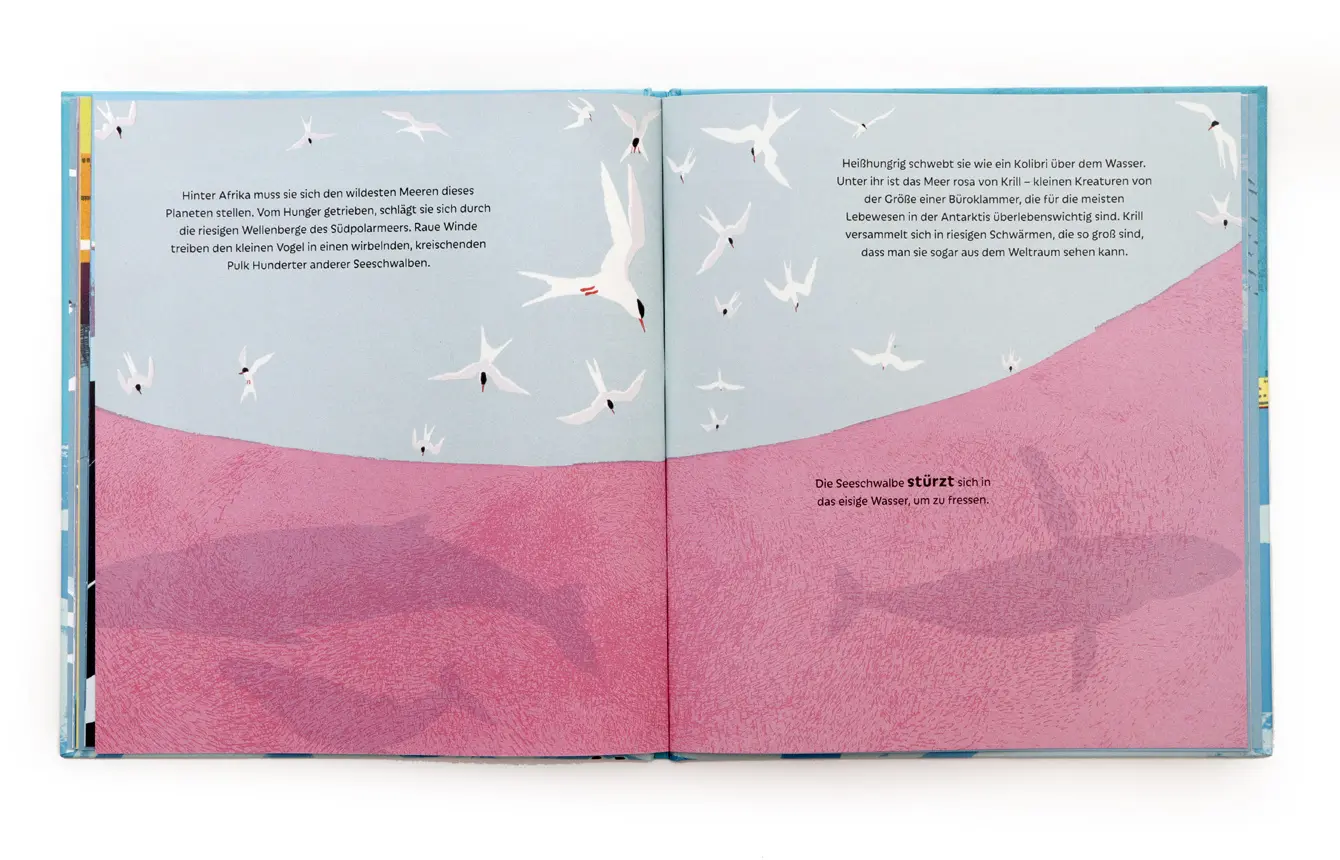 Bild: 9783962442200 | Die Seeschwalbe und der Buckelwal | Catherine Barr | Buch | 32 S.
