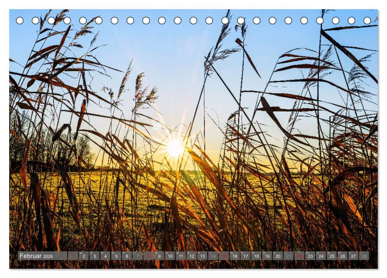 Bild: 9783457462300 | Moin Moormerland (Tischkalender 2026 DIN A5 quer), CALVENDO...