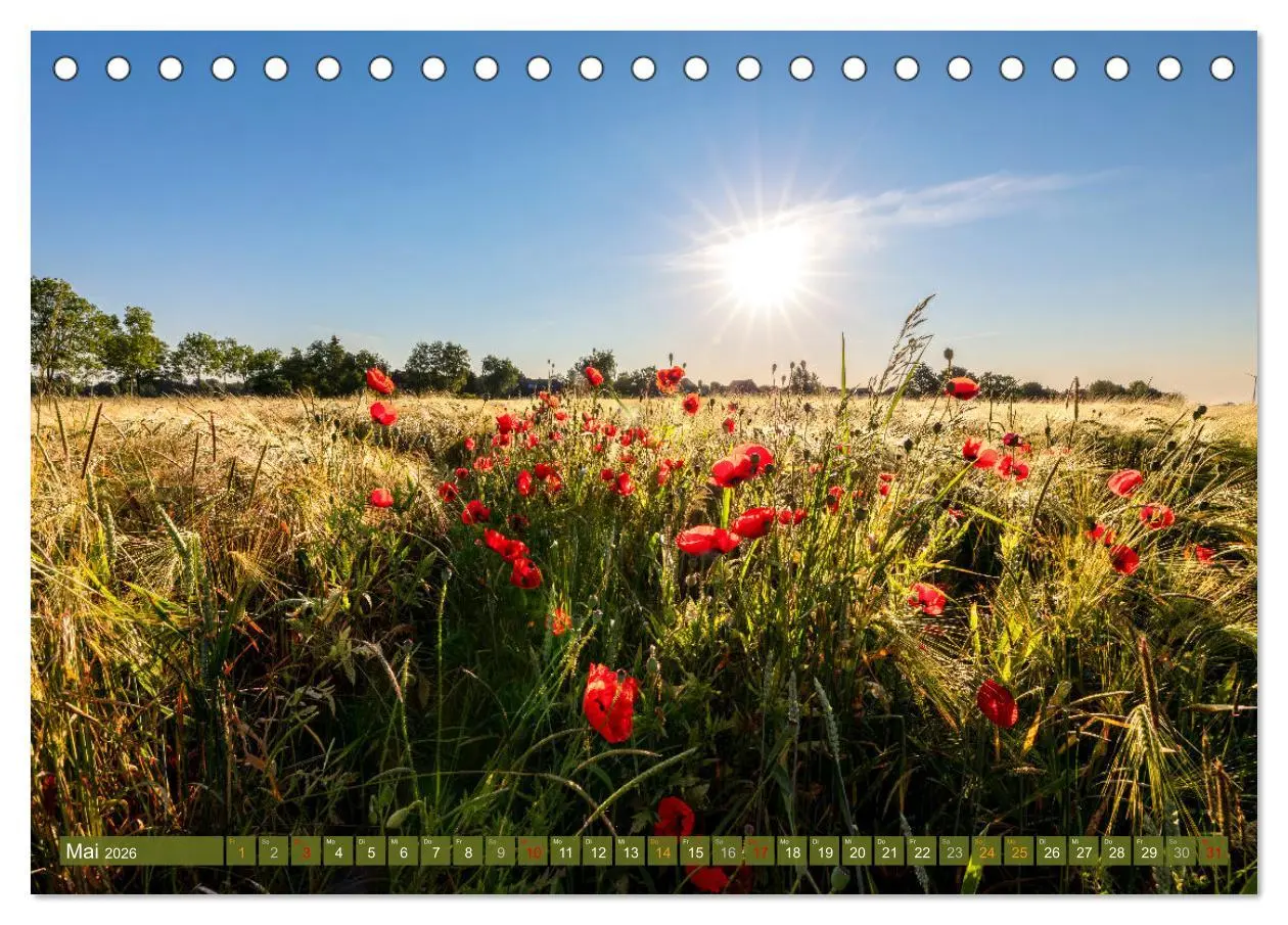 Bild: 9783457462300 | Moin Moormerland (Tischkalender 2026 DIN A5 quer), CALVENDO...