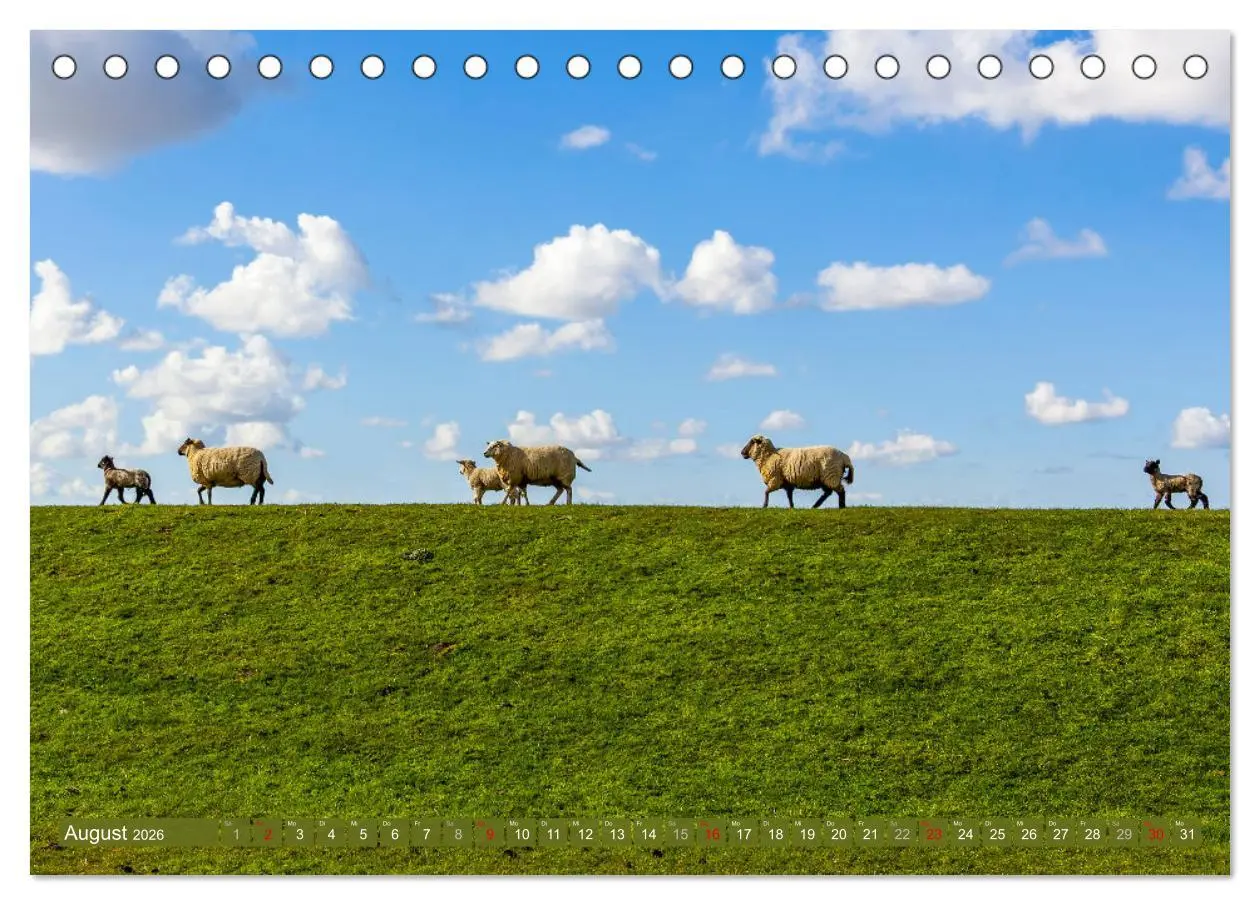 Bild: 9783457462300 | Moin Moormerland (Tischkalender 2026 DIN A5 quer), CALVENDO...