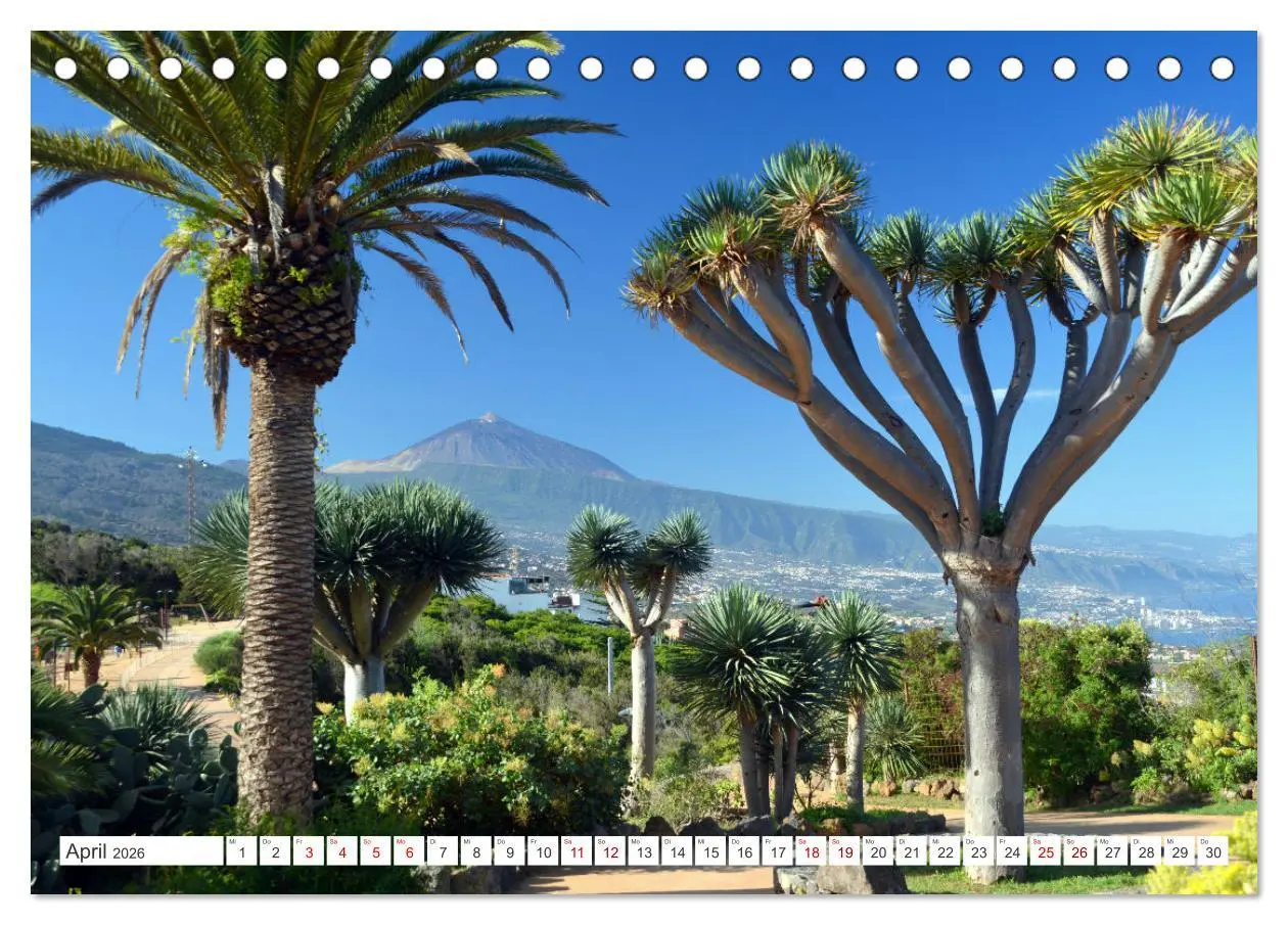 Bild: 9783457532300 | Teneriffa Insel der Glückseligen (Tischkalender 2026 DIN A5 quer),...