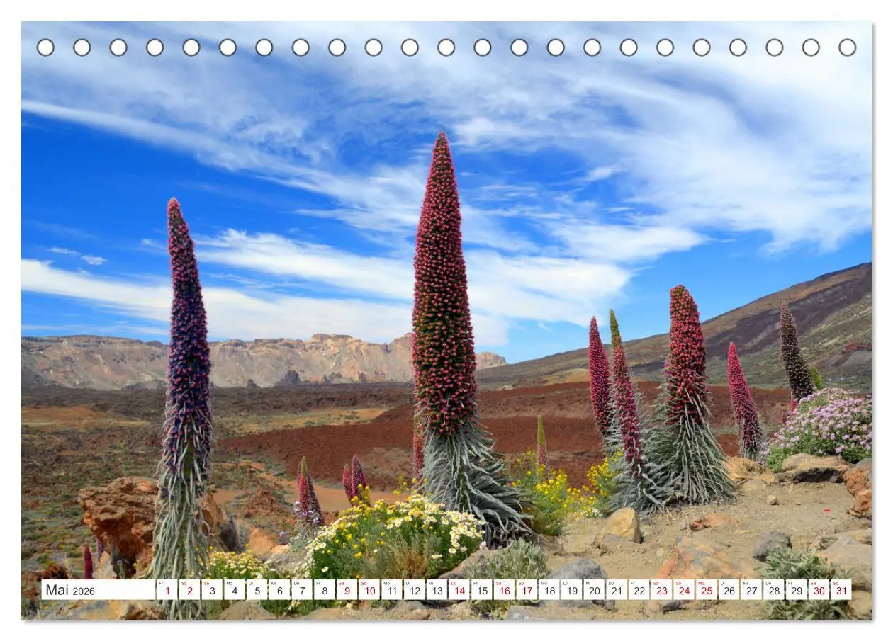 Bild: 9783457532300 | Teneriffa Insel der Glückseligen (Tischkalender 2026 DIN A5 quer),...