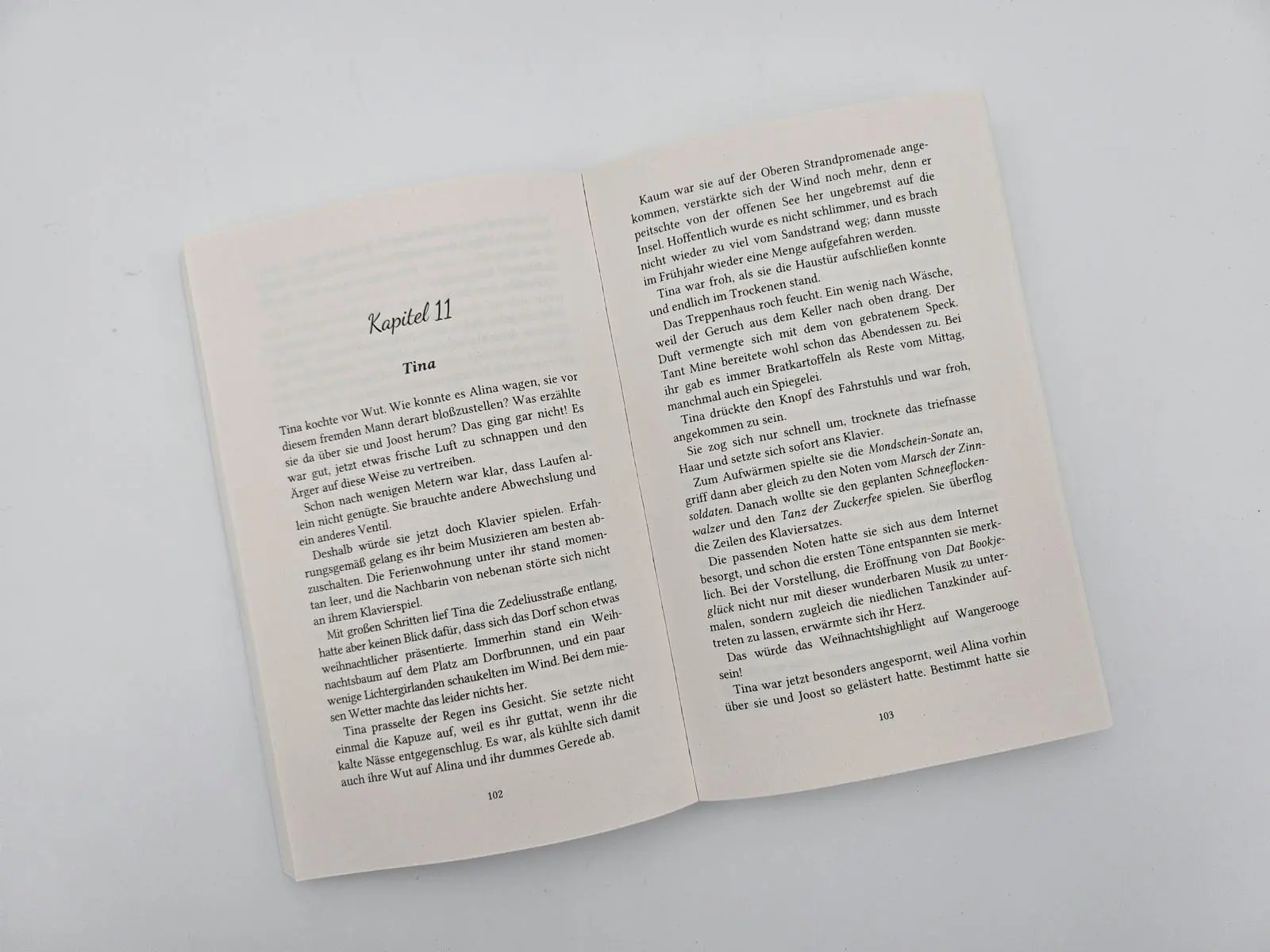 Bild: 9783492322300 | Winterträume in der kleinen Bücherei an der Nordsee | Felicitas Kind