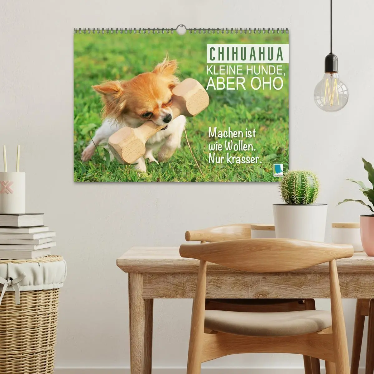 Bild: 9783457382400 | Chihuahua: Kleine Hunde, aber oho (Wandkalender 2026 DIN A3 quer),...
