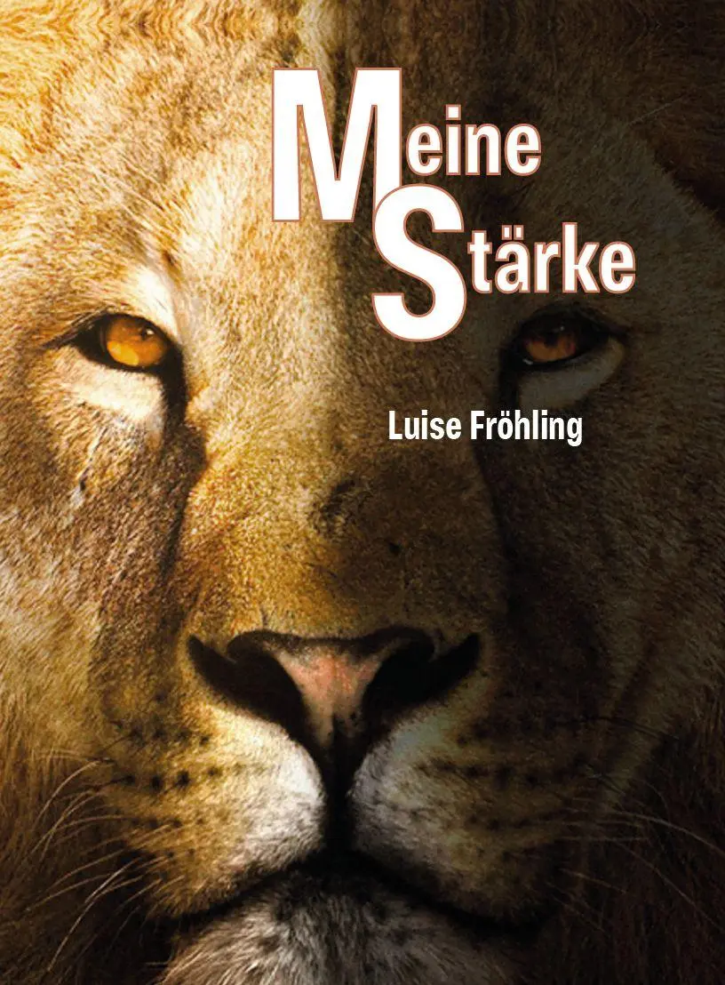 Cover: 9783758102400 | Meine Stärke | Luise Fröhling | Buch | Deutsch | 2026