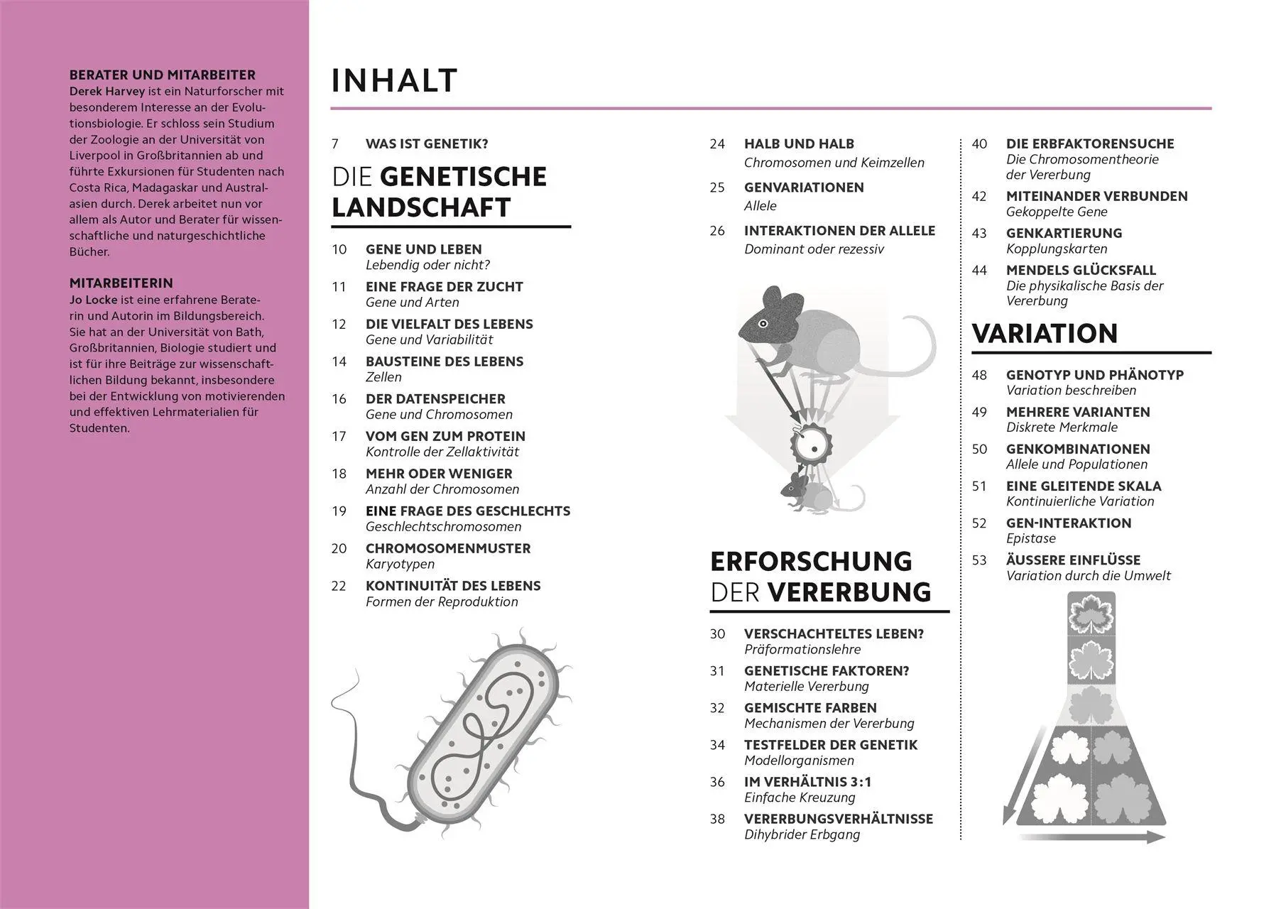 Bild: 9783831052400 | SIMPLY. Genetik | Derek Harvey (u. a.) | Buch | Simply | 160 S. | 2026