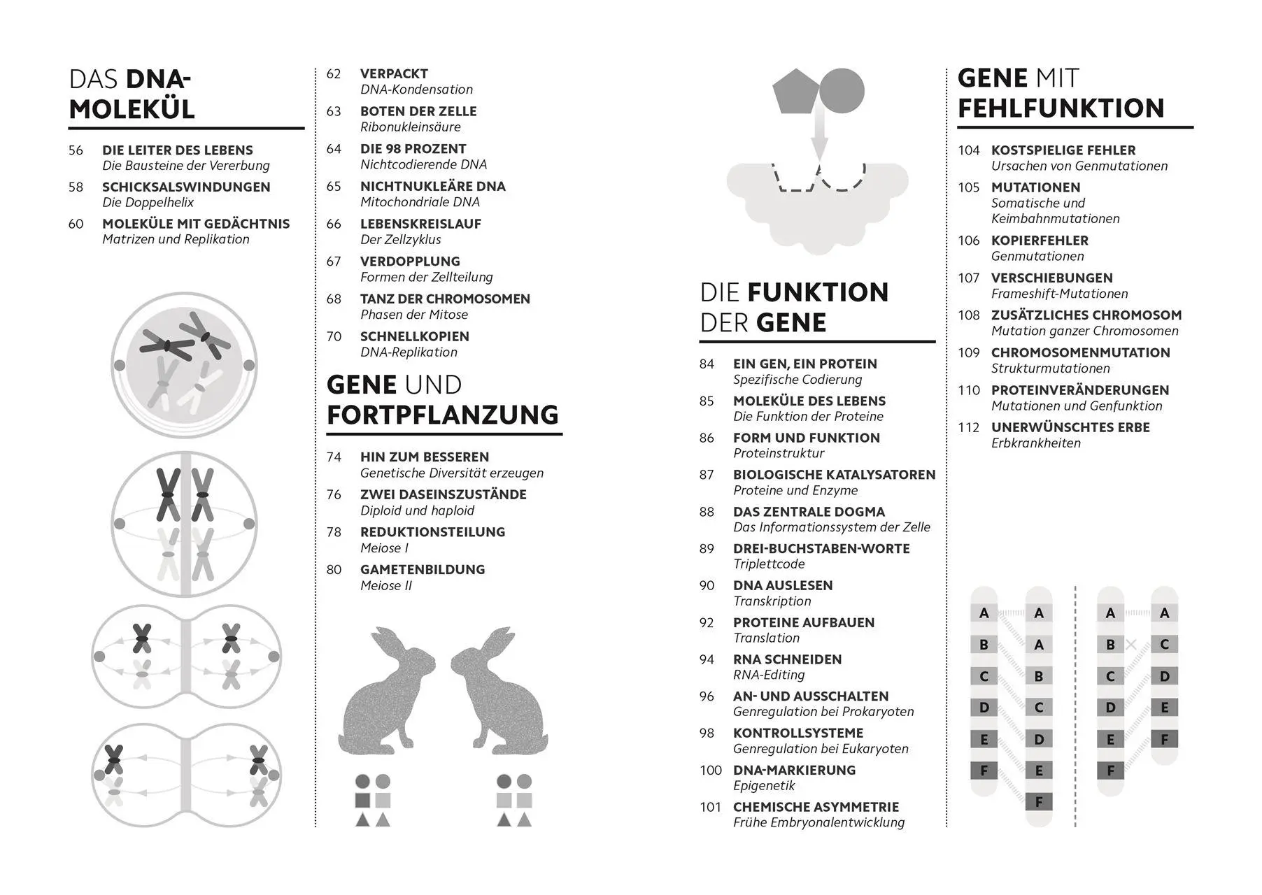 Bild: 9783831052400 | SIMPLY. Genetik | Derek Harvey (u. a.) | Buch | Simply | 160 S. | 2026