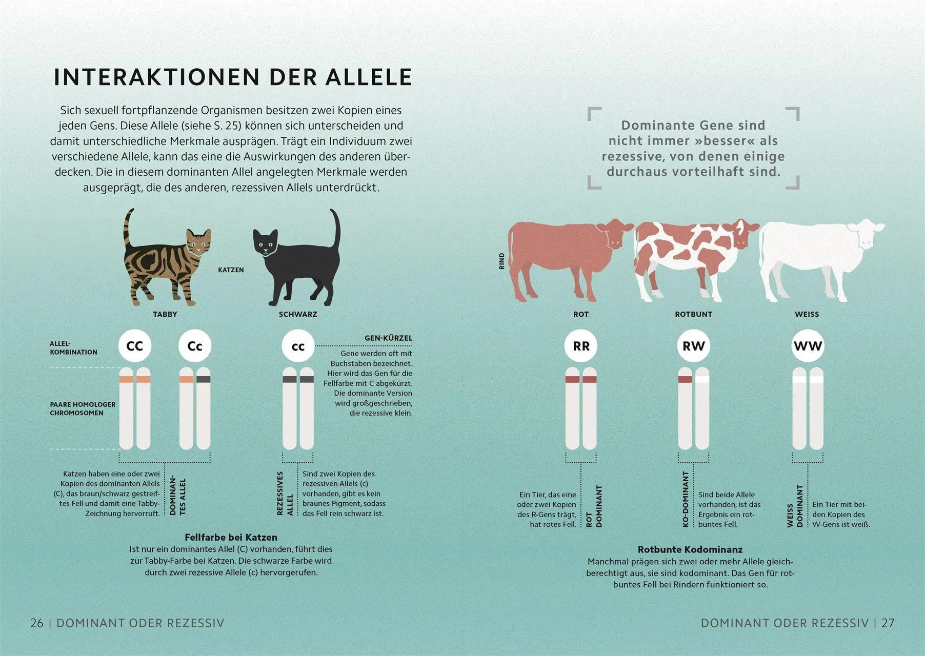 Bild: 9783831052400 | SIMPLY. Genetik | Derek Harvey (u. a.) | Buch | Simply | 160 S. | 2026