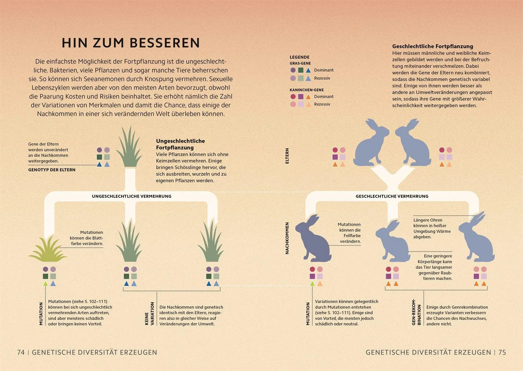 Bild: 9783831052400 | SIMPLY. Genetik | Derek Harvey (u. a.) | Buch | Simply | 160 S. | 2026