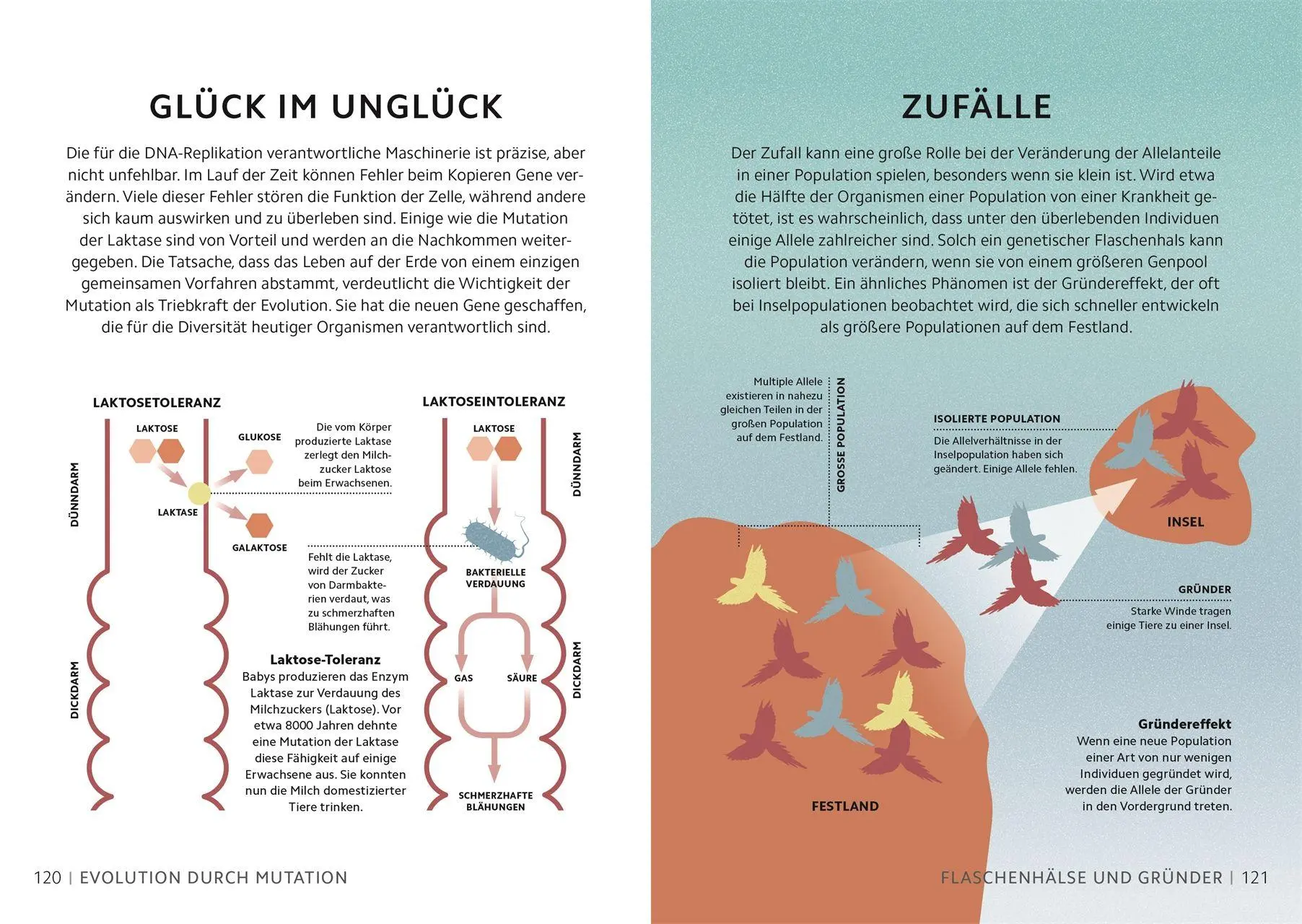Bild: 9783831052400 | SIMPLY. Genetik | Derek Harvey (u. a.) | Buch | Simply | 160 S. | 2026
