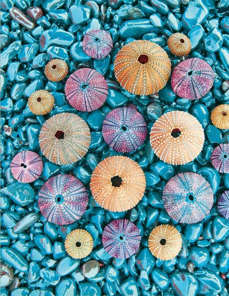 Cover: 9783960132400 | Sea Treasures | Blankbook | Tushita-Verlag | Buch | 144 S. | Deutsch