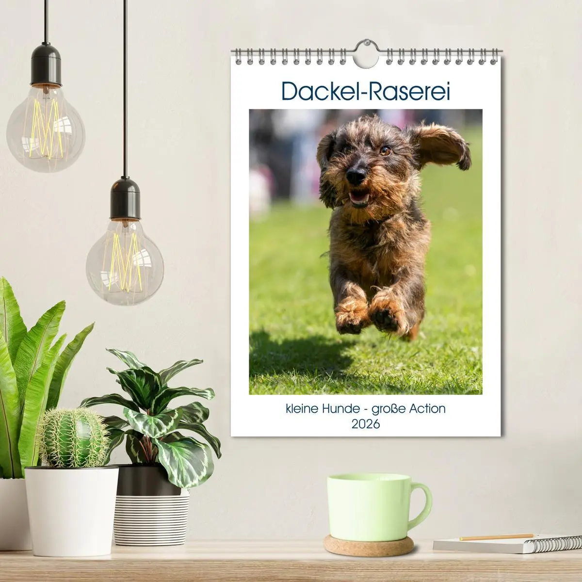 Bild: 9783516392500 | Dackel-Raserei (Wandkalender 2026 DIN A4 hoch), CALVENDO...