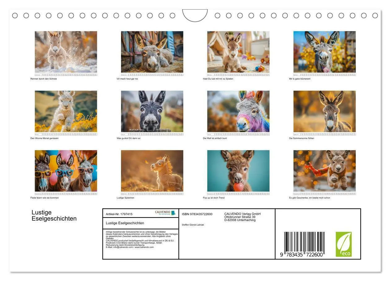 Bild: 9783435722600 | Lustige Eselgeschichten (Wandkalender 2025 DIN A4 quer), CALVENDO...