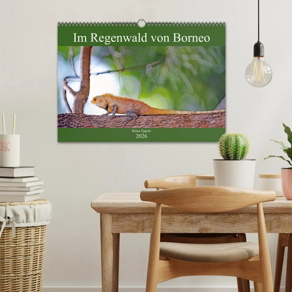 Bild: 9783457742600 | Im Regenwald von Borneo (Wandkalender 2026 DIN A3 quer), CALVENDO...