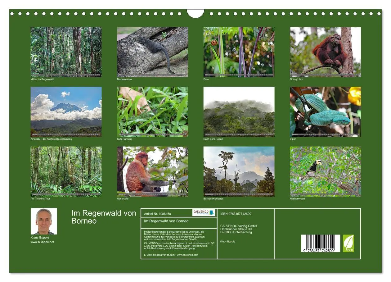 Bild: 9783457742600 | Im Regenwald von Borneo (Wandkalender 2026 DIN A3 quer), CALVENDO...