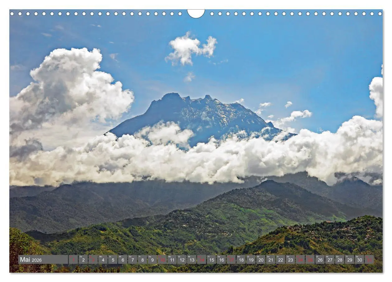 Bild: 9783457742600 | Im Regenwald von Borneo (Wandkalender 2026 DIN A3 quer), CALVENDO...