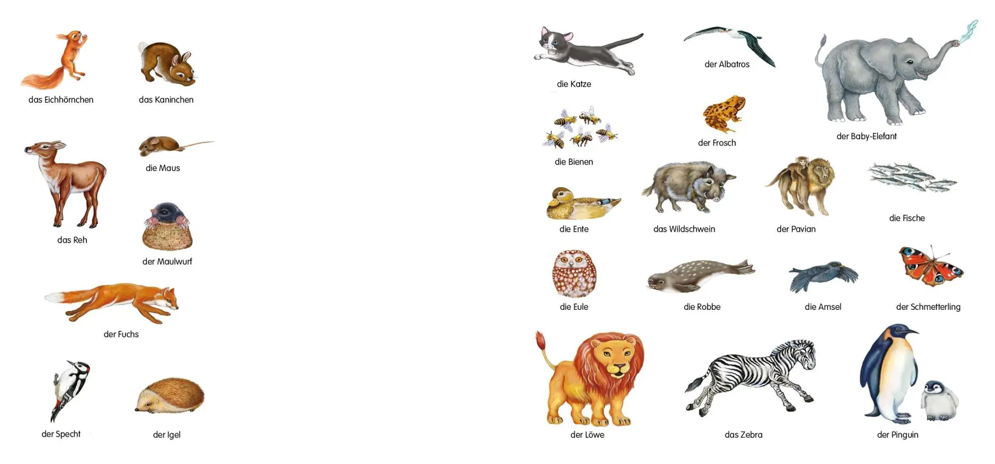 Bild: 9783849952600 | Magnetbuch Die Tiere - mit 24 Magneten | Laura Teller | Buch | 10 S.