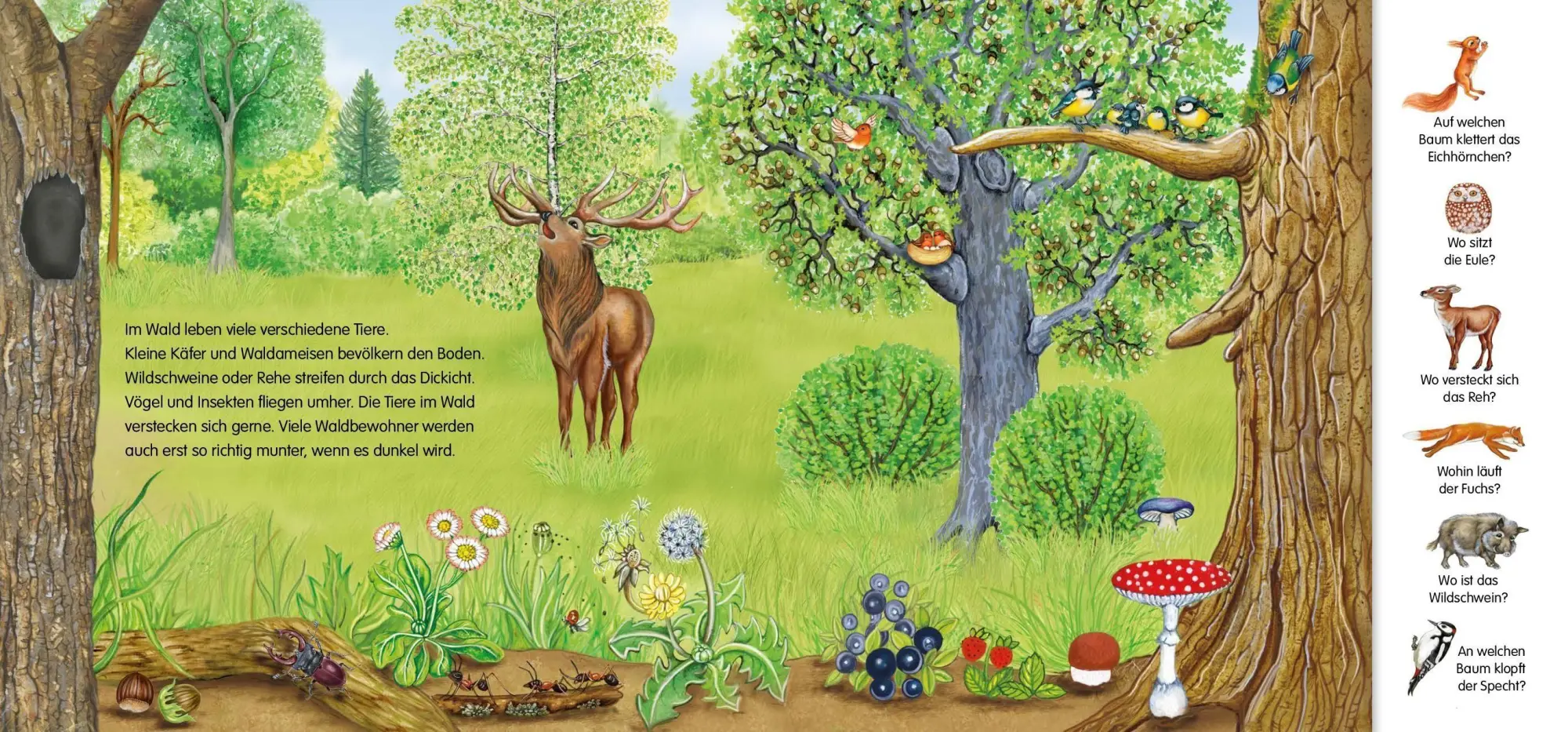 Bild: 9783849952600 | Magnetbuch Die Tiere - mit 24 Magneten | Laura Teller | Buch | 10 S.