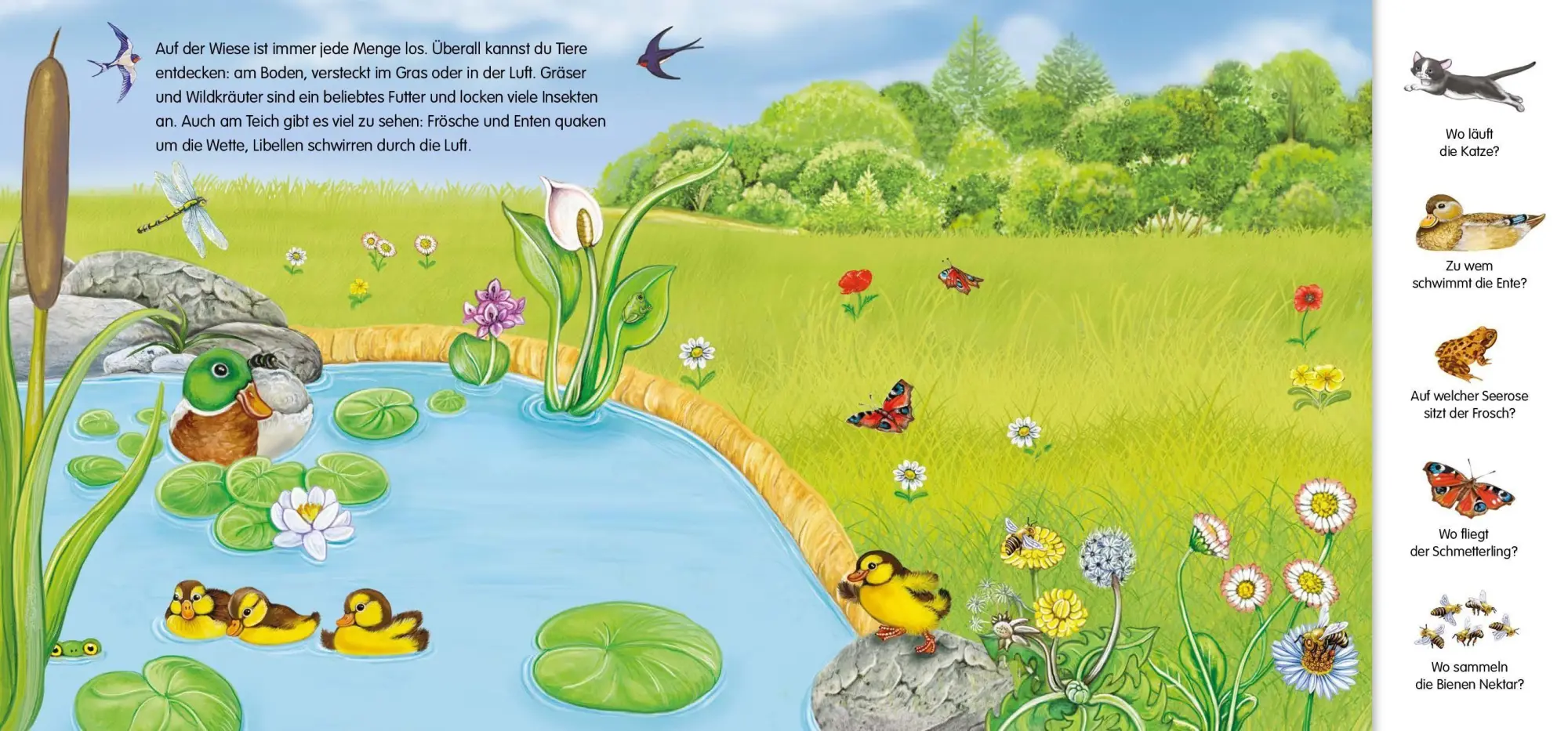 Bild: 9783849952600 | Magnetbuch Die Tiere - mit 24 Magneten | Laura Teller | Buch | 10 S.
