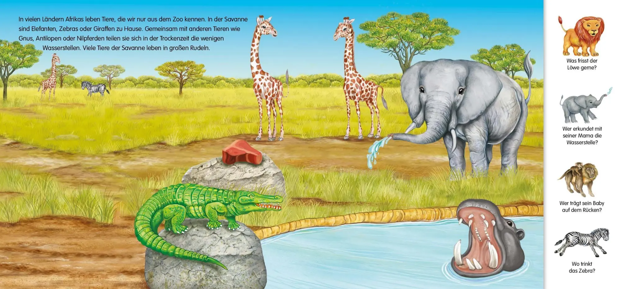 Bild: 9783849952600 | Magnetbuch Die Tiere - mit 24 Magneten | Laura Teller | Buch | 10 S.