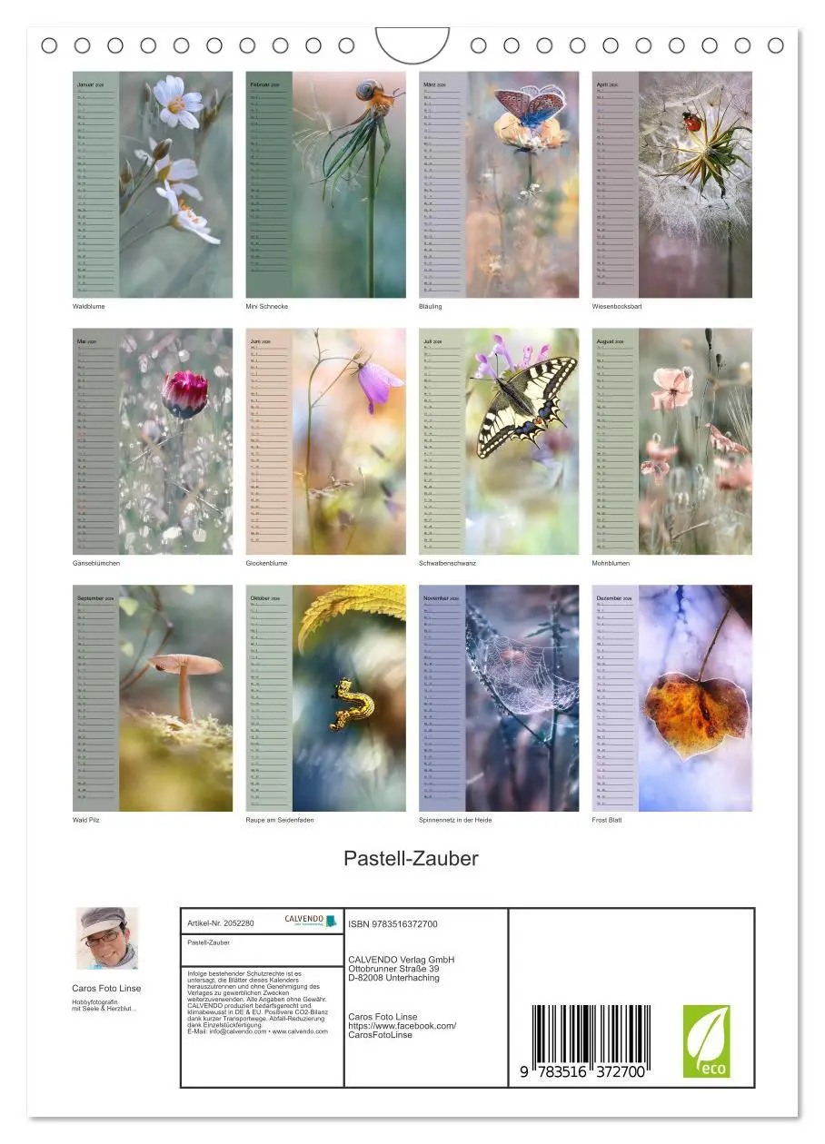 Bild: 9783516372700 | Pastell-Zauber (Wandkalender 2026 DIN A4 hoch), CALVENDO...