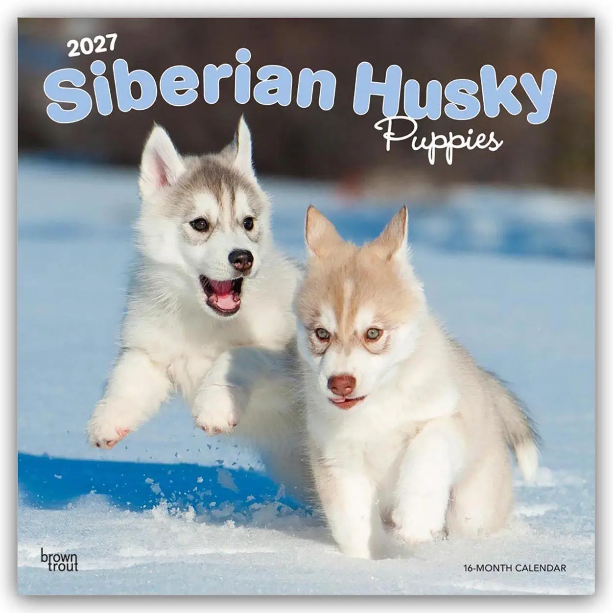 Cover: 9798330712700 | Siberian Husky Puppies - Siberian Husky Welpen 2027 -...