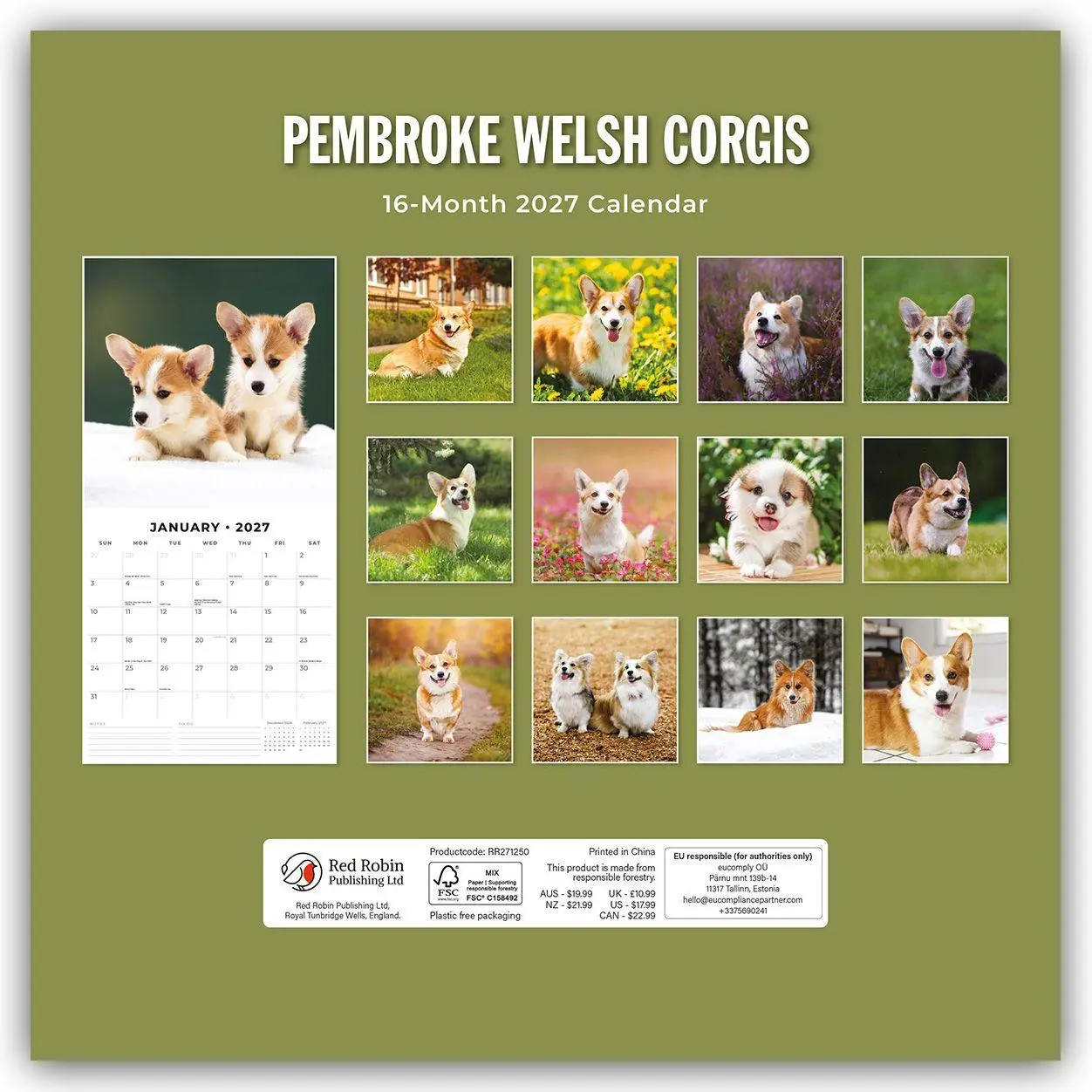Rückseite: 9781837012800 | Pembroke Welsh Corgis - Pembroke Welsh Corgi 2027 - 16-Monatskalender