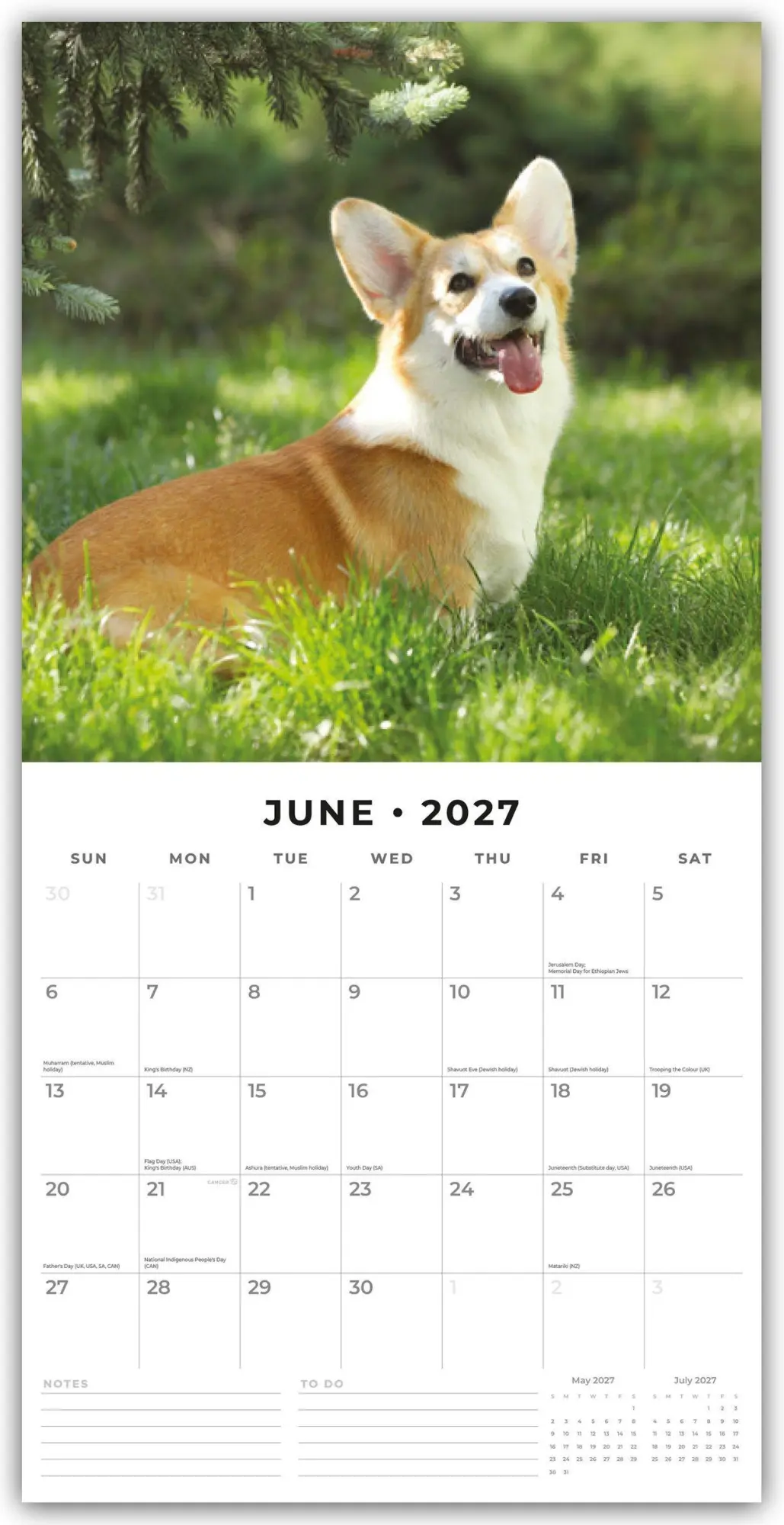 Bild: 9781837012800 | Pembroke Welsh Corgis - Pembroke Welsh Corgi 2027 - 16-Monatskalender