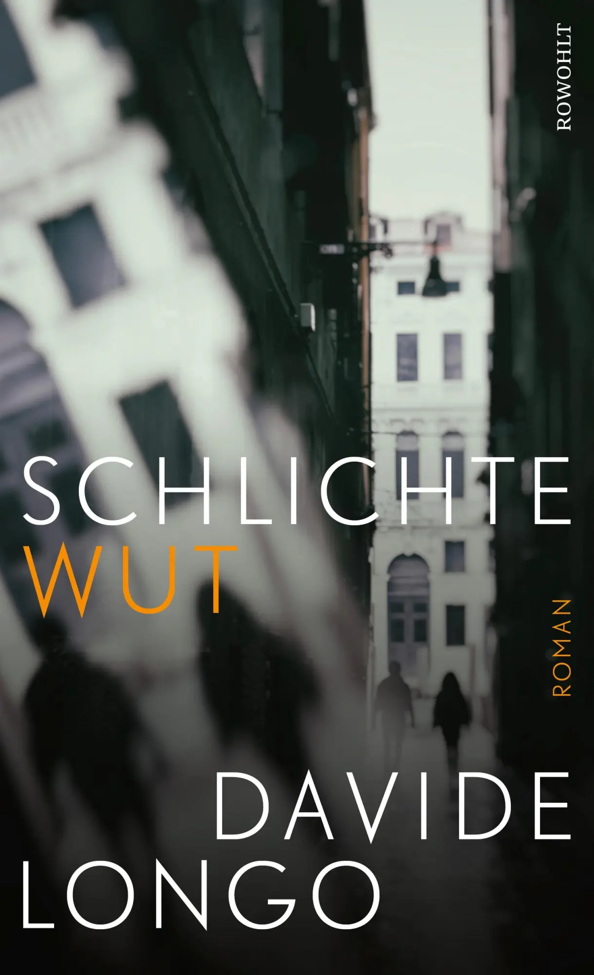 Cover: 9783498002800 | Schlichte Wut | Ein Krimi aus dem Piemont Ein Krimi aus dem Piemont