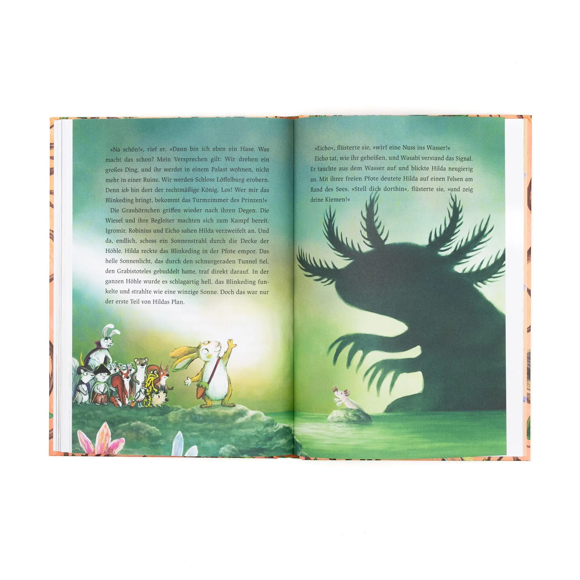 Bild: 9783505152900 | Hilda Hasenherz. Das Abenteuer am Drachenfels | Tobias Goldfarb | Buch