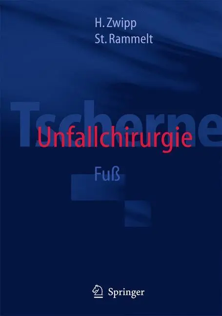 Cover: 9783540632900 | Tscherne Unfallchirurgie | Fuß | Stefan Rammelt (u. a.) | Buch | xiv