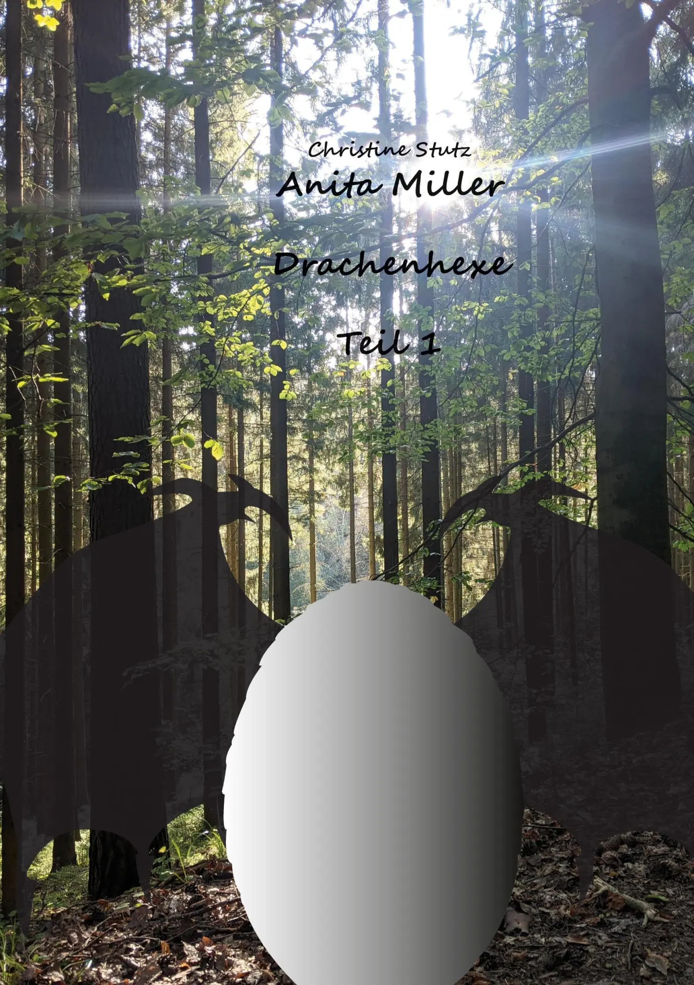 Cover: 9783746032900 | Anita Miller Drachenhexe | Christine Stutz | Taschenbuch | 240 S.