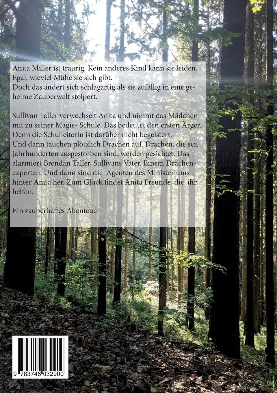 Rückseite: 9783746032900 | Anita Miller Drachenhexe | Christine Stutz | Taschenbuch | 240 S.