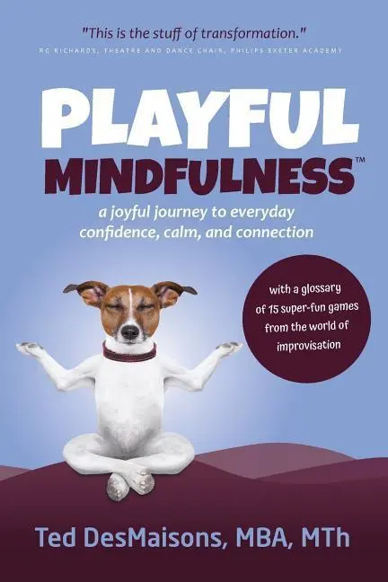 Cover: 9781950373000 | Playful Mindfulness | Ted Desmaisons | Taschenbuch | Englisch | 2019