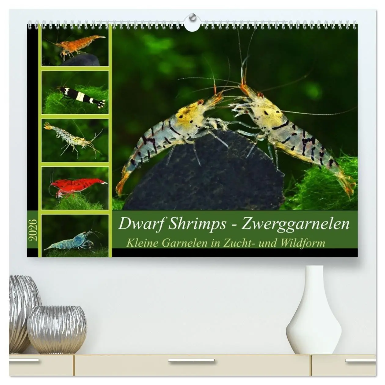 Cover: 9783457533000 | Dwarf Shrimps - Zwerggarnelen (hochwertiger Premium Wandkalender...